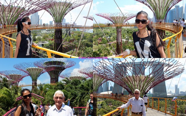 GARDENS-BY-THE-BAY2