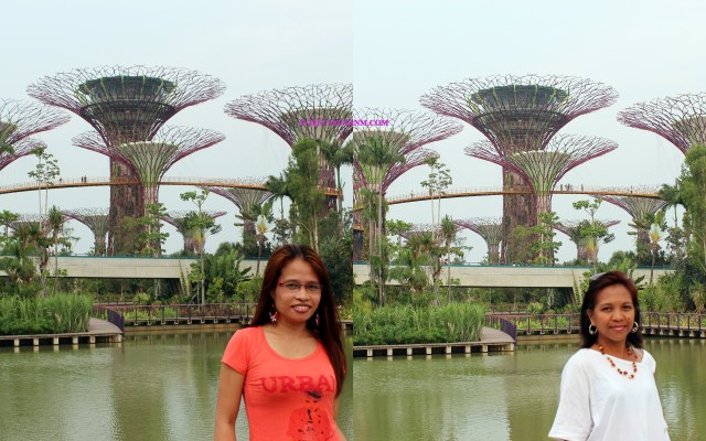 marina-bay-sandsgardens-by-the-bay-at-night