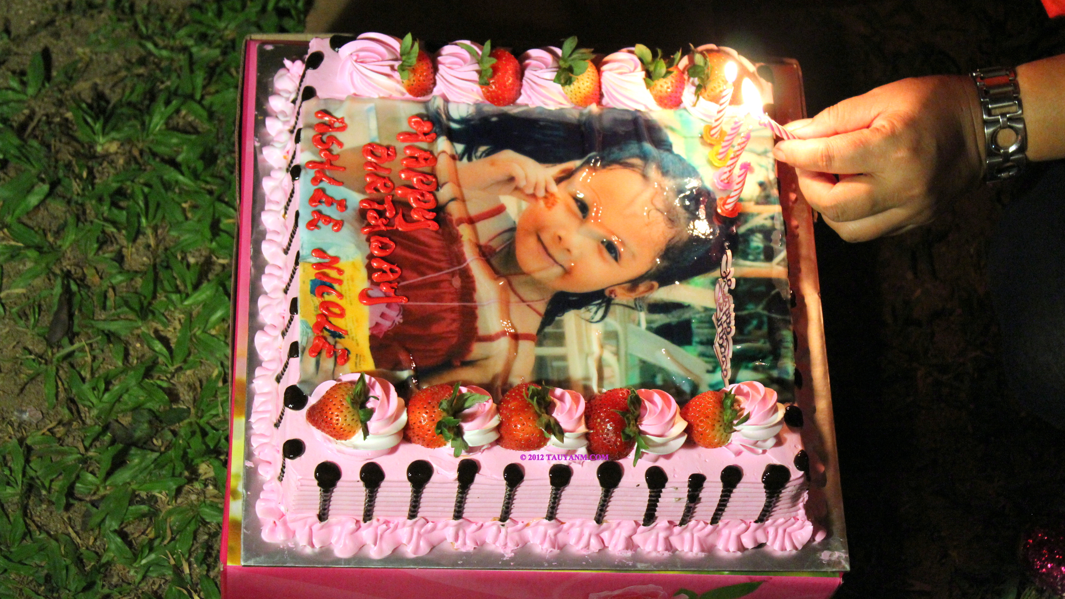 ashleebday2012