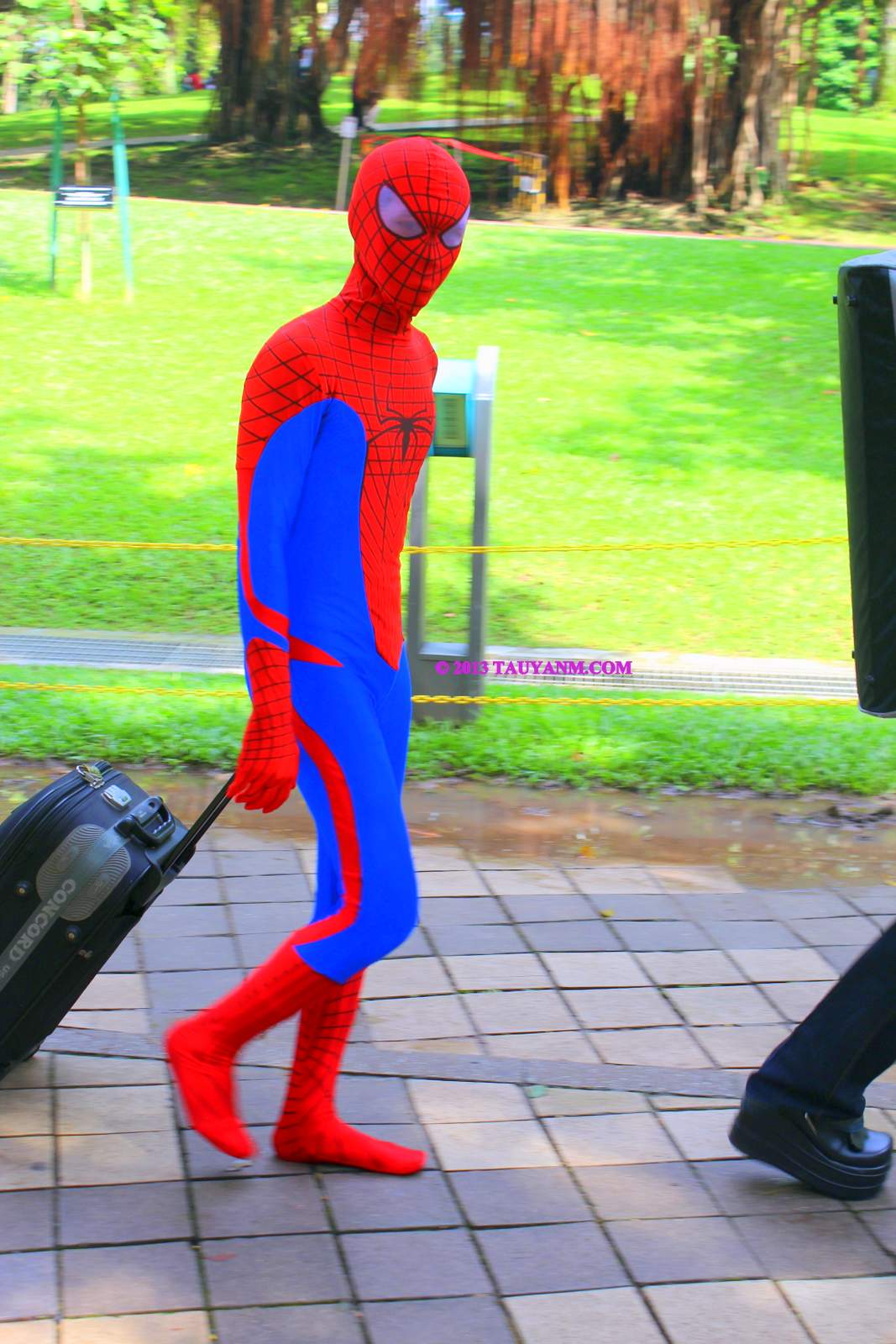 cosplaytauyanm