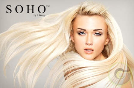 imagesource:http://www.groupon.my/deals/klang-valley-kuala-lumpur/soho/716794222
