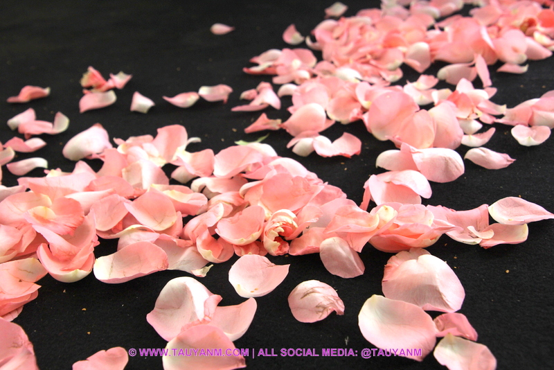 enchanteur