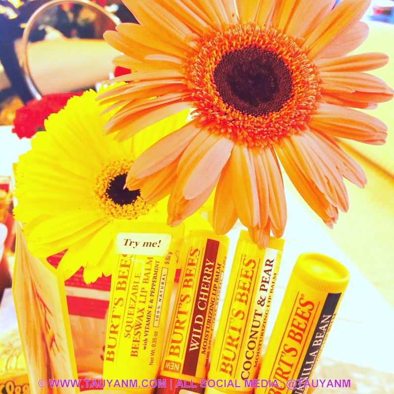 BURT'S BEES