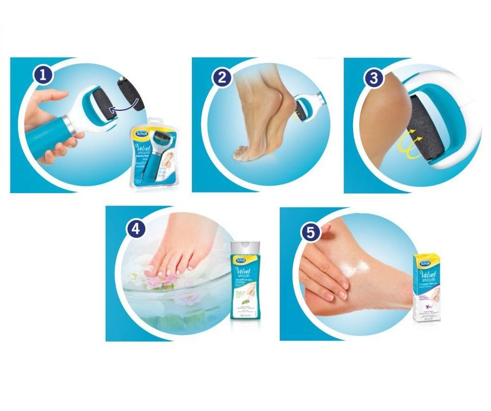 scholl review