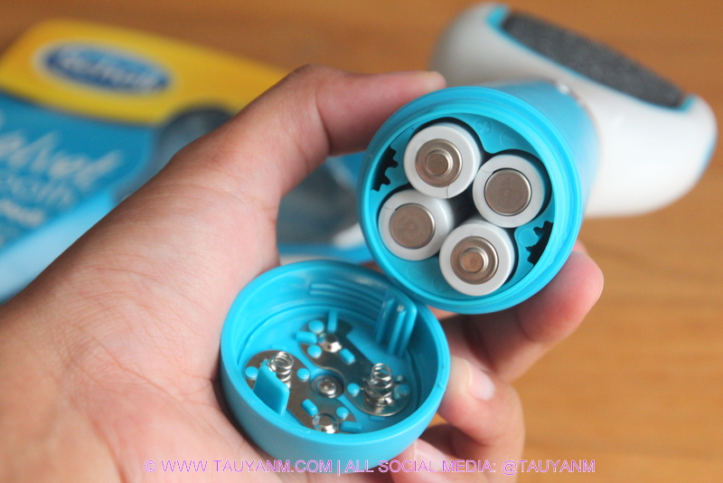 scholl review