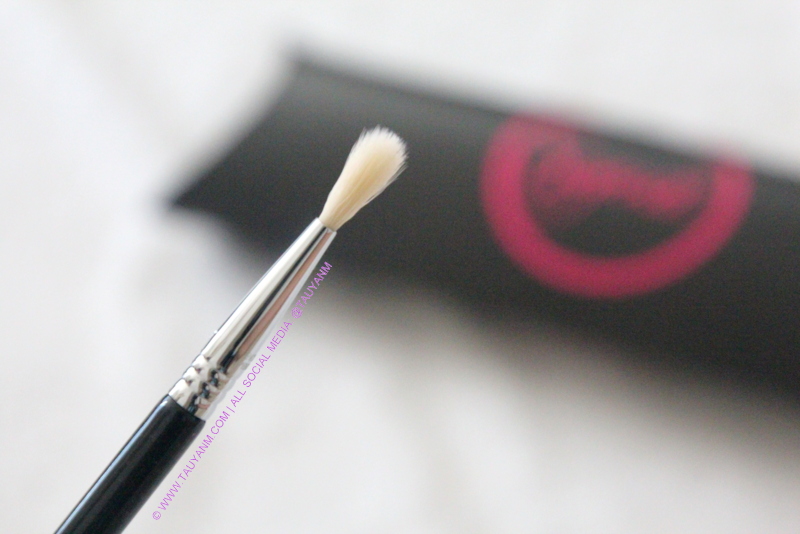 sigmabeauty.com brushes