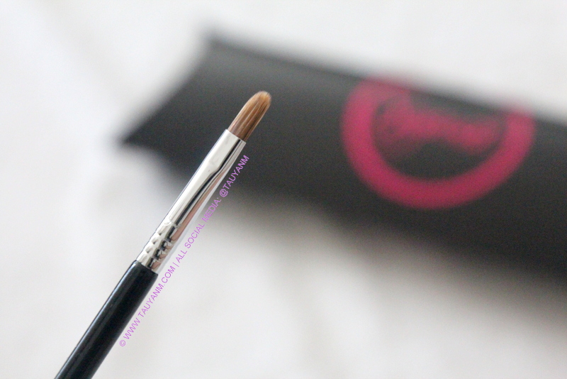 sigmabeauty.com brushes