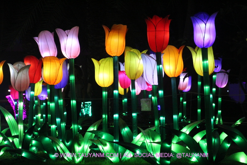 dubai garden glow