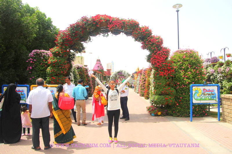 Dubai Miracle Garden - www.tauyanm.com