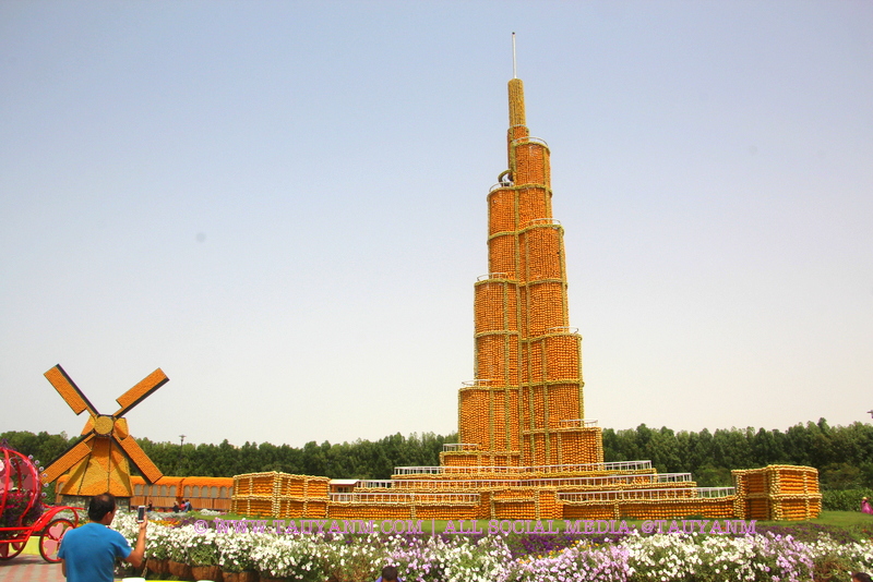 Dubai Miracle Garden - www.tauyanm.com