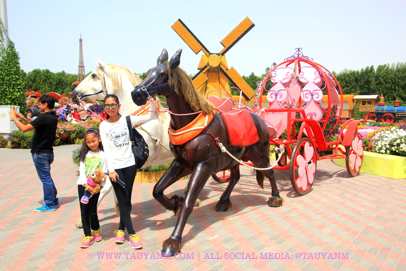 Dubai Miracle Garden - www.tauyanm.com