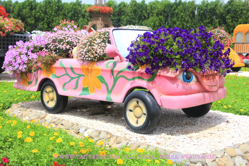Dubai Miracle Garden - www.tauyanm.com