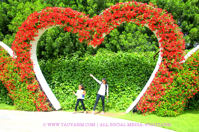 Dubai Miracle Garden - www.tauyanm.com