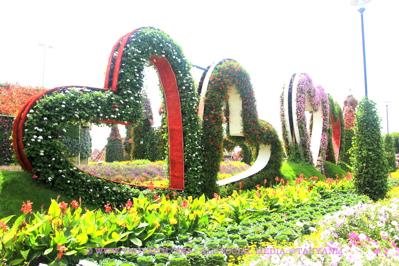 Dubai Miracle Garden - www.tauyanm.com