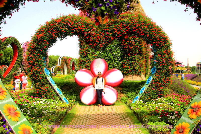Dubai Miracle Garden - www.tauyanm.com