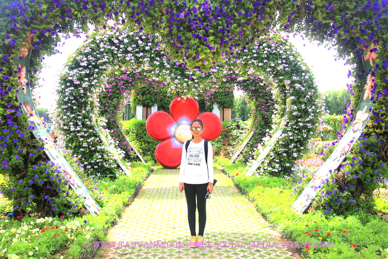 Dubai Miracle Garden - www.tauyanm.com