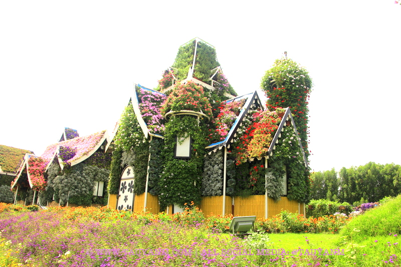 Dubai Miracle Garden - www.tauyanm.com