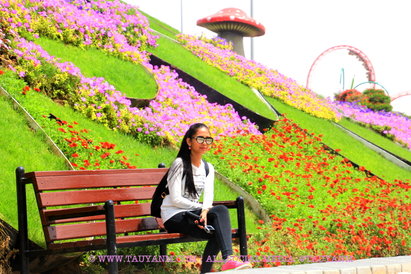 Dubai Miracle Garden - www.tauyanm.com