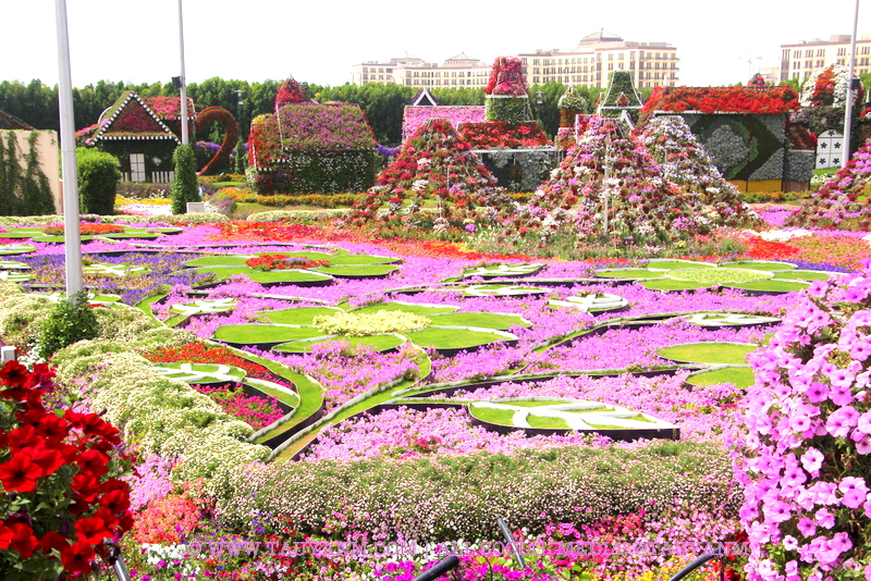 Dubai Miracle Garden - www.tauyanm.com
