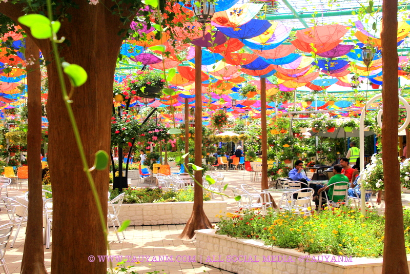 Dubai Miracle Garden - www.tauyanm.com