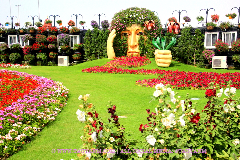 Dubai Miracle Garden - www.tauyanm.com