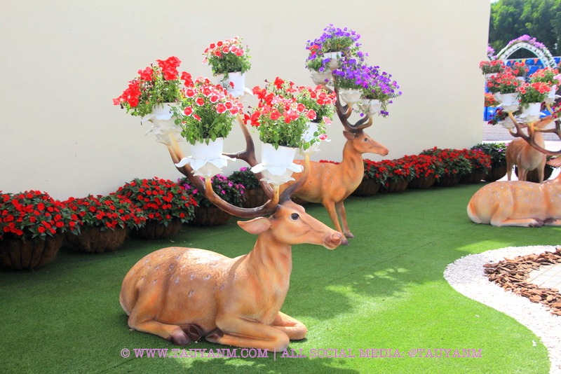 Dubai Miracle Garden - www.tauyanm.com