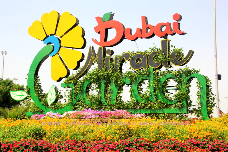 Dubai Miracle Garden - www.tauyanm.com