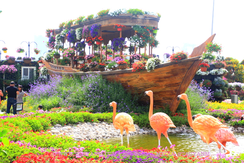 Dubai Miracle Garden - www.tauyanm.com