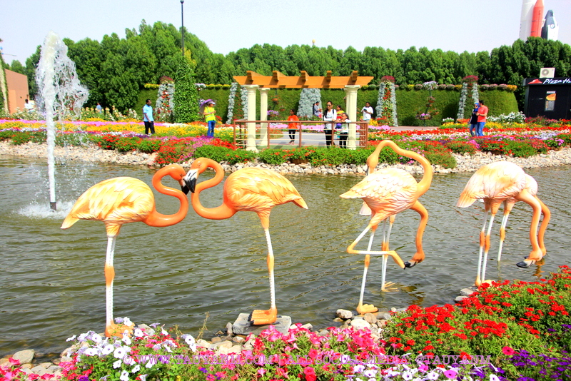 Dubai Miracle Garden - www.tauyanm.com