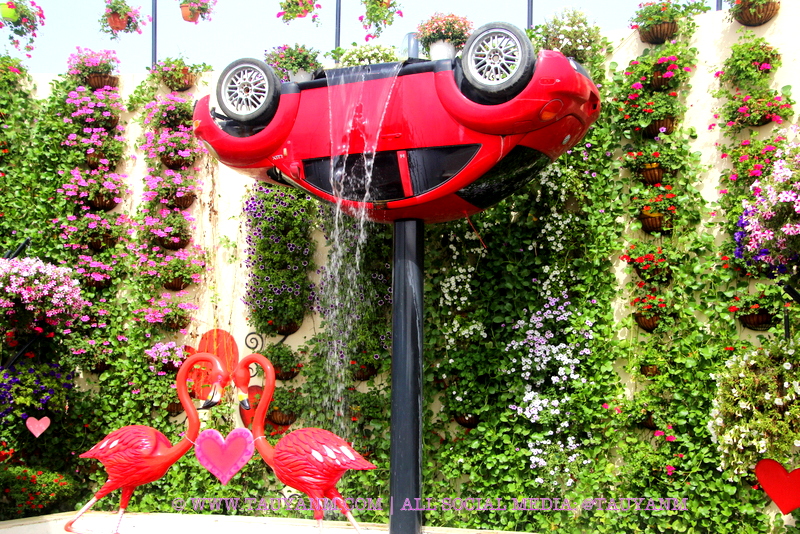 Dubai Miracle Garden - www.tauyanm.com