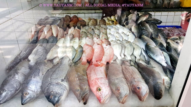 karama fish market dubai blogger tauyanm