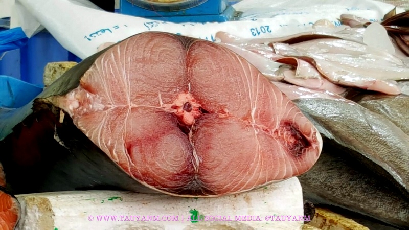 karama fish market dubai blogger tauyanm