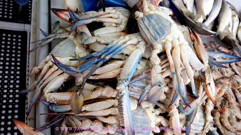 karama fish market dubai blogger tauyanm