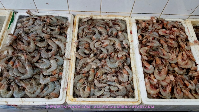 karama fish market dubai blogger tauyanm