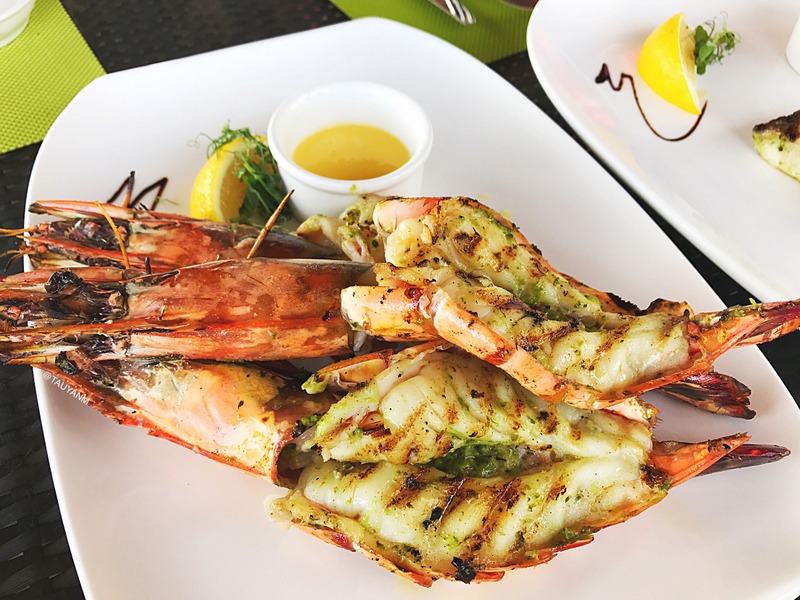 Gonu bar and grill, dubai blogger, mydubai