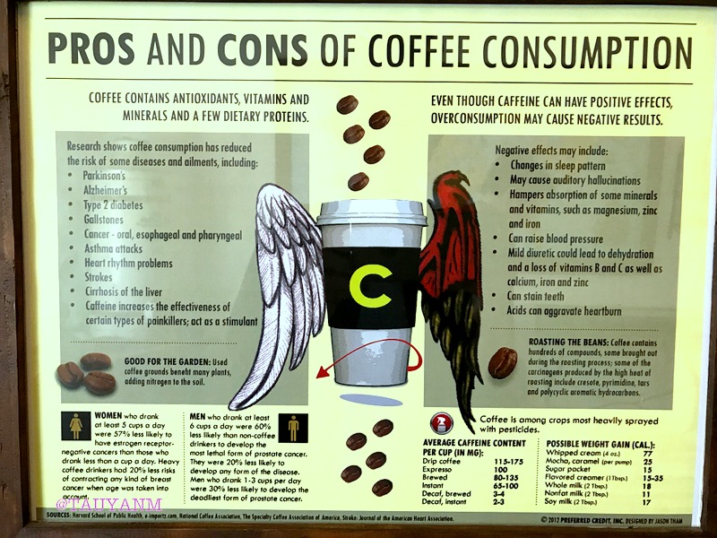 coffee museum, dubai blogger
