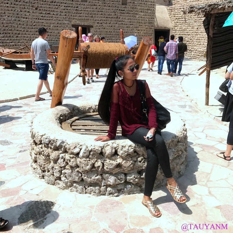 american eagle outfitters, maroon or black, dubai fashion blogger, ootd, lookbook,