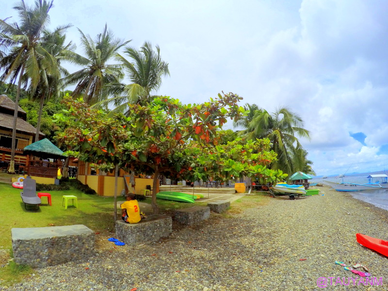 day trip to anilao beach club, filipino blogger, dubai blogger, philippines vlog