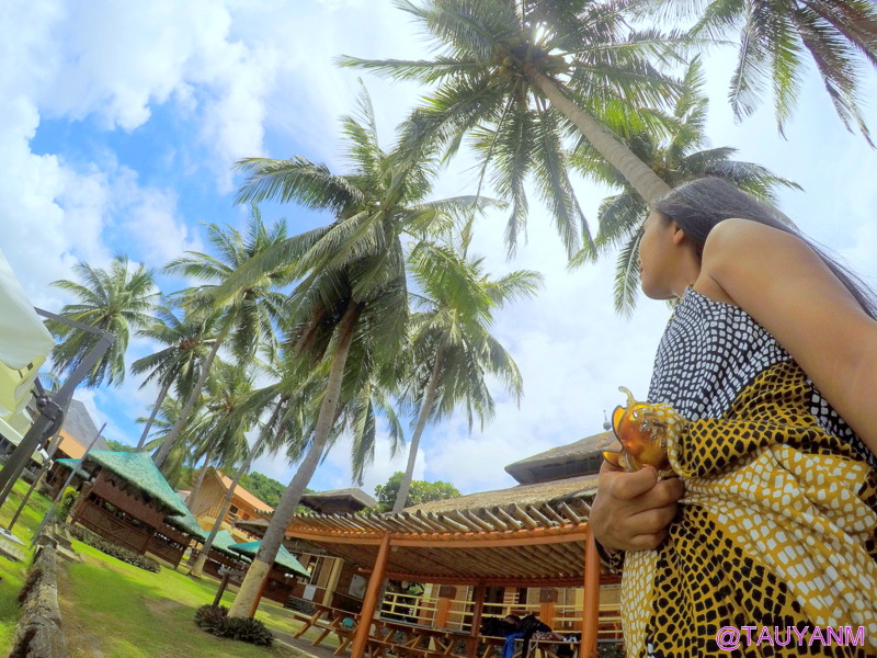day trip to anilao beach club, filipino blogger, dubai blogger, philippines vlog