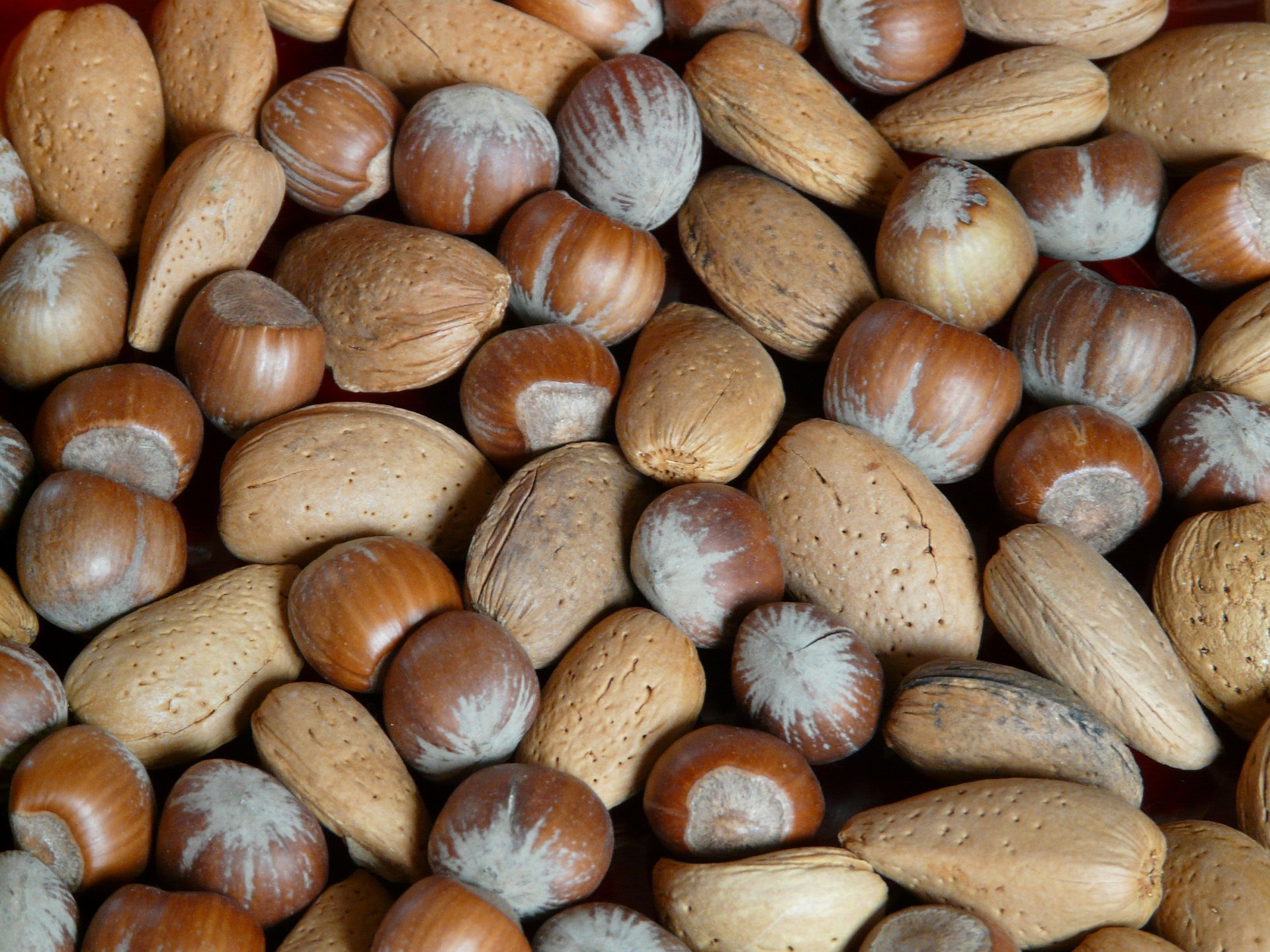 benefits of nuts, dubai blogger,