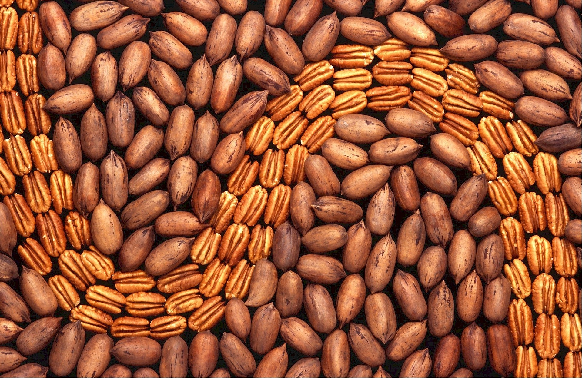 benefit of nuts, dubai blogger,