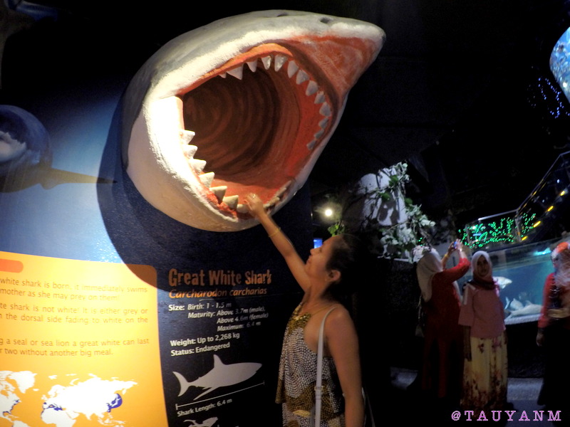 aquaria klcc, kl tower, malaysia, kuala lumpur, dubai blogger, malaysia blogger,