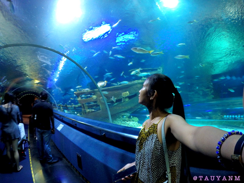 aquaria klcc, kl tower, malaysia, kuala lumpur, dubai blogger, malaysia blogger,