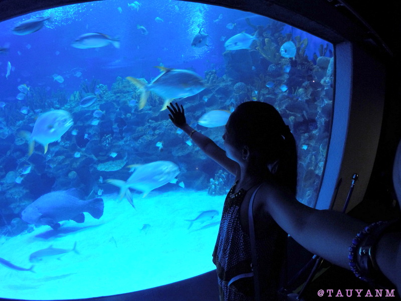 aquaria klcc, kl tower, malaysia, kuala lumpur, dubai blogger, malaysia blogger,