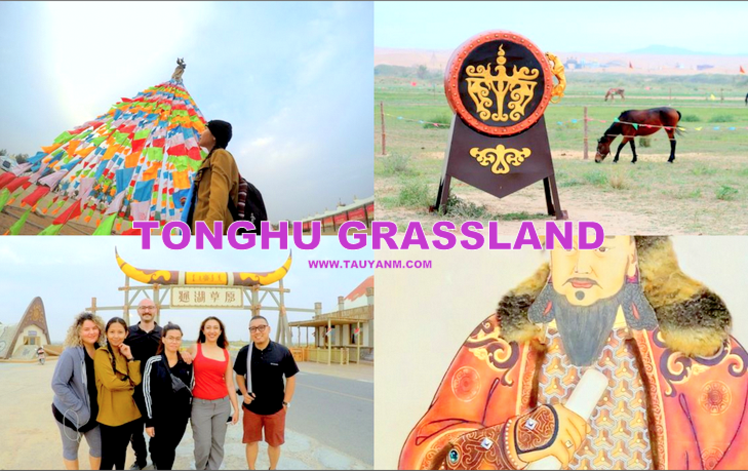 tonghu grassland, yinchuan ningxi china, ningxia, travel blogger, dubai blogger, influencer