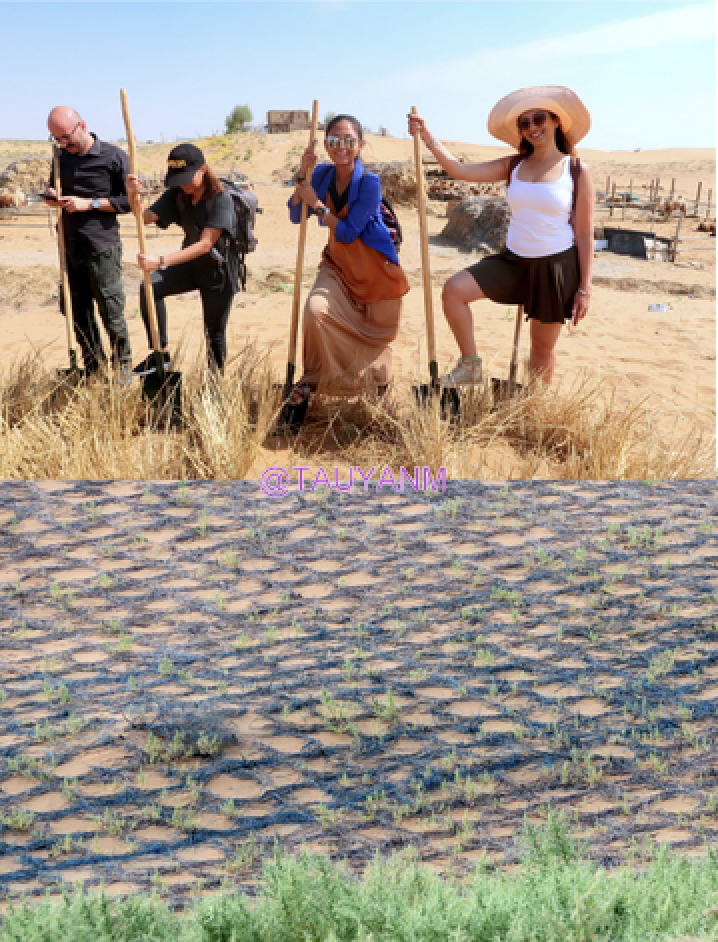 Jin Sha Island in Ningxia Zhongwei China Lavender Fields, dubai blogger, dubai influencer, filipino blogger, dubai travel blogger, filipino travel blogger, filipino influencer