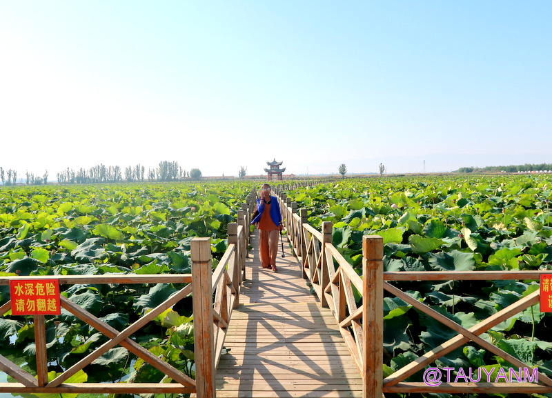 Jin Sha Island Zhongwei Ningxia China, Lavender Fields, dubai blogger, dubai influencer, filipino blogger, dubai travel blogger, filipino travel blogger, filipino influencer