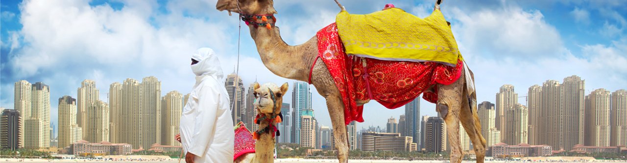 dubai visa, desert safari, visit dubai, things to do in dubai, dubai blogger, dubai influencer,