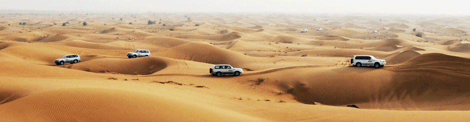 vacation trip to dubai, dubai visa, desert safari, visit dubai, things to do in dubai, dubai blogger, dubai influencer,