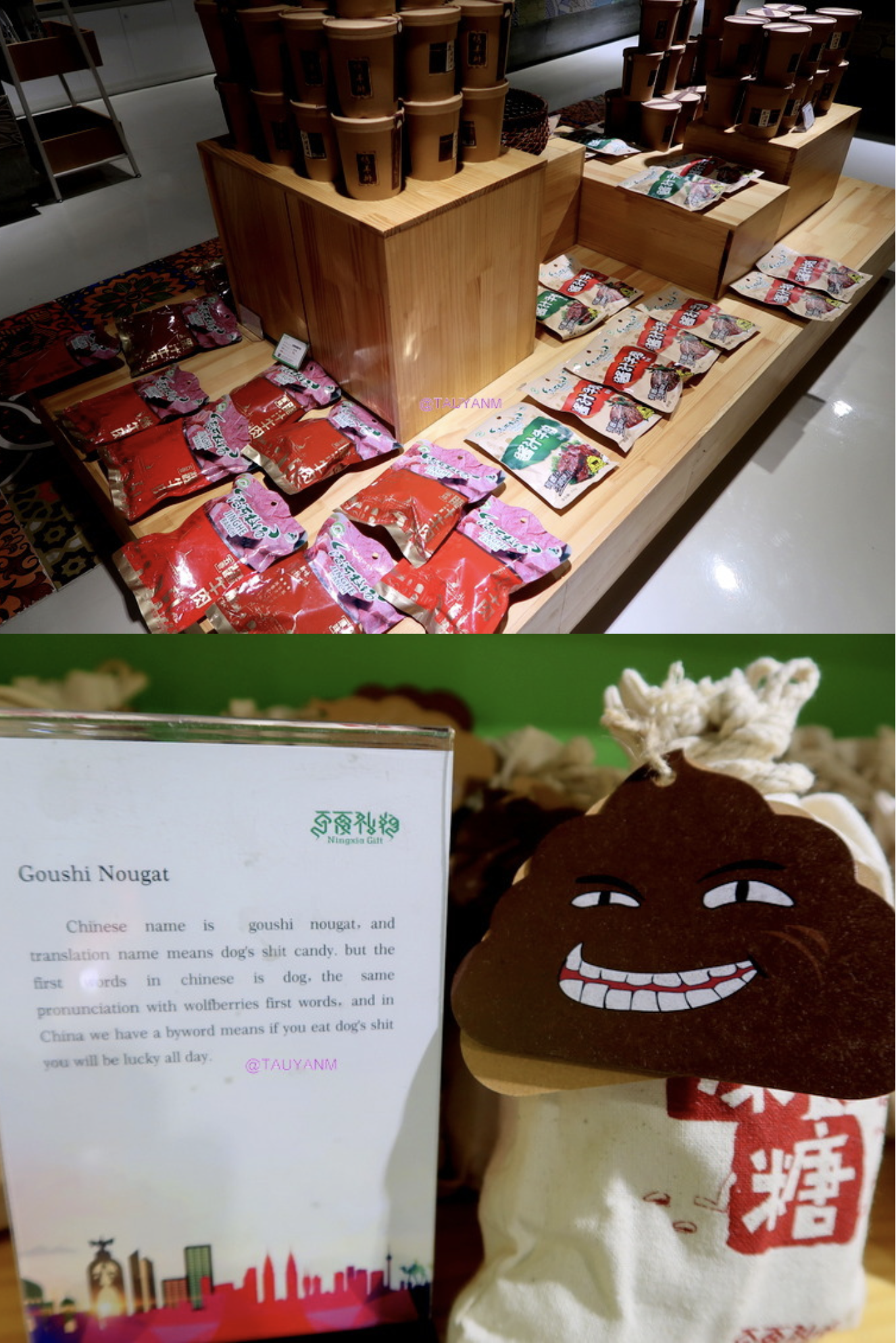 goji berries, ningxia red, ningxia china, yinchuan ningxia china, china vlog, china blog, dubai blogger, dubai influencer, filipino blogger, filipino influencer, filipino in dubai, benefits of goji berries, shopping in ningxia china, ningxia gift shop